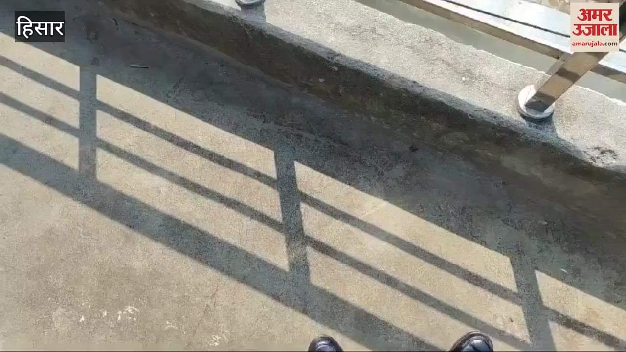 VIDEO : हिसार बार चुनाव, 42 प्रतिशत मतदान, शाम 6 बजे तक घोषित होगा परिणाम