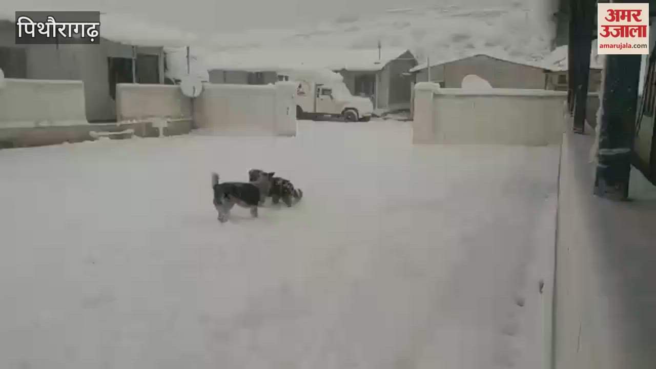 VIDEO : दारमा और व्यास घाटी में भारी बर्फबारी, जनजीवन अस्त-व्यस्त