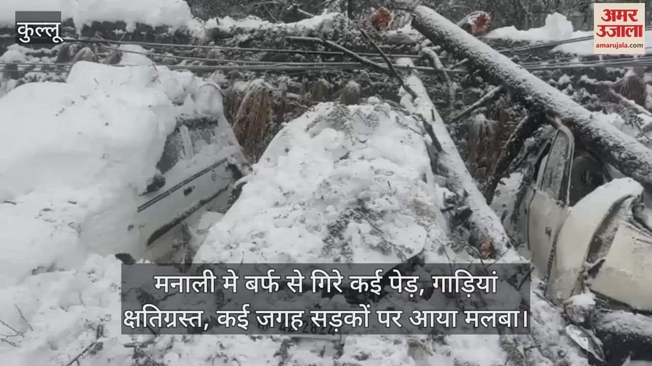 VIDEO : Many trees fell due to snow in Manali, vehicles got damaged, debris fell on the roads at many places