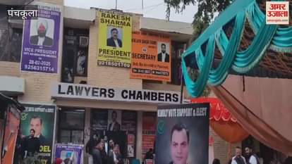 VIDEO : District Bar Association elections in Panchkula