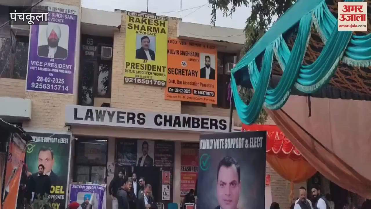 VIDEO : District Bar Association elections in Panchkula