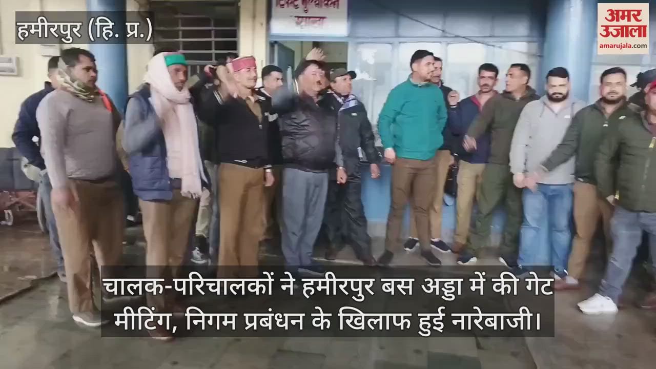 VIDEO : Many trees fell due to snow in Manali, vehicles got damaged, debris fell on the roads at many places
