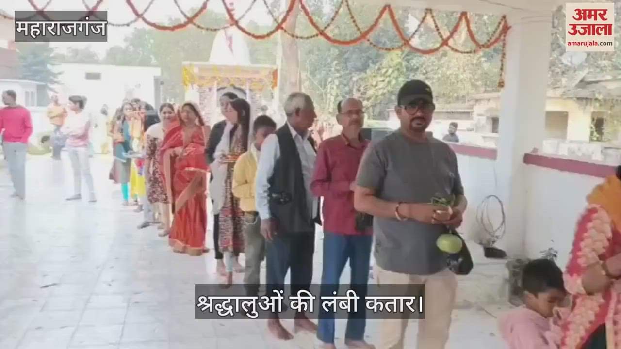 VIDEO : Devotees gathered in Shiva temple on Mahashivratri festival