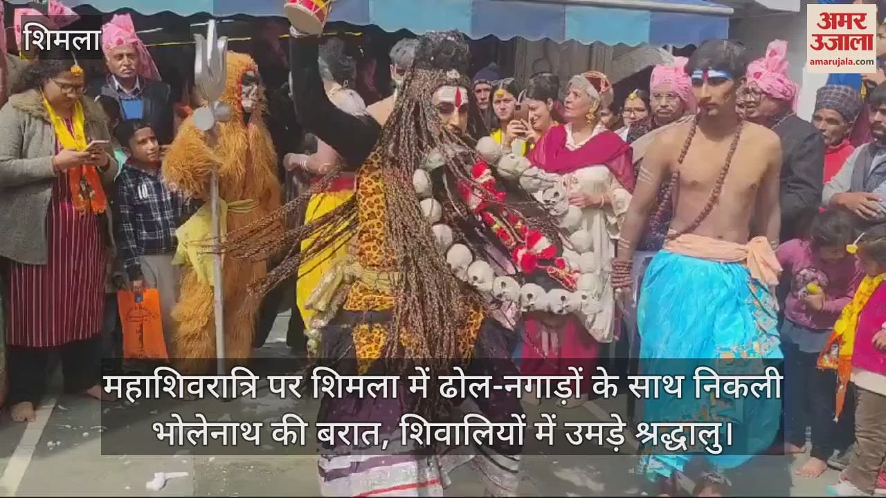 VIDEO : Mahashivratri, Bholenath's procession came out in Shimla with great pomp, devotees gathered in Shivalayas