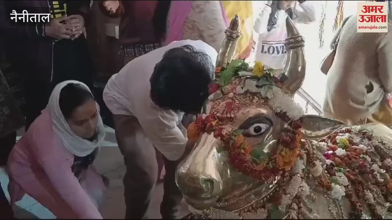 VIDEO : महाशिवरात्रि...सिद्धेश्वर महादेव मंदिर में भक्तों की भारी भीड़, आशीर्वाद लिया