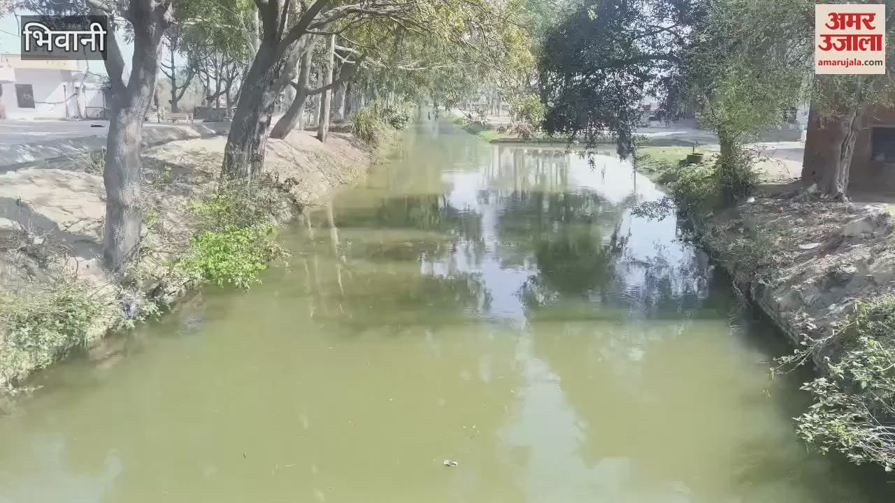 VIDEO : Canal water reached Jui and Mitathal feeder of Bhiwani, supply to water tank started from today