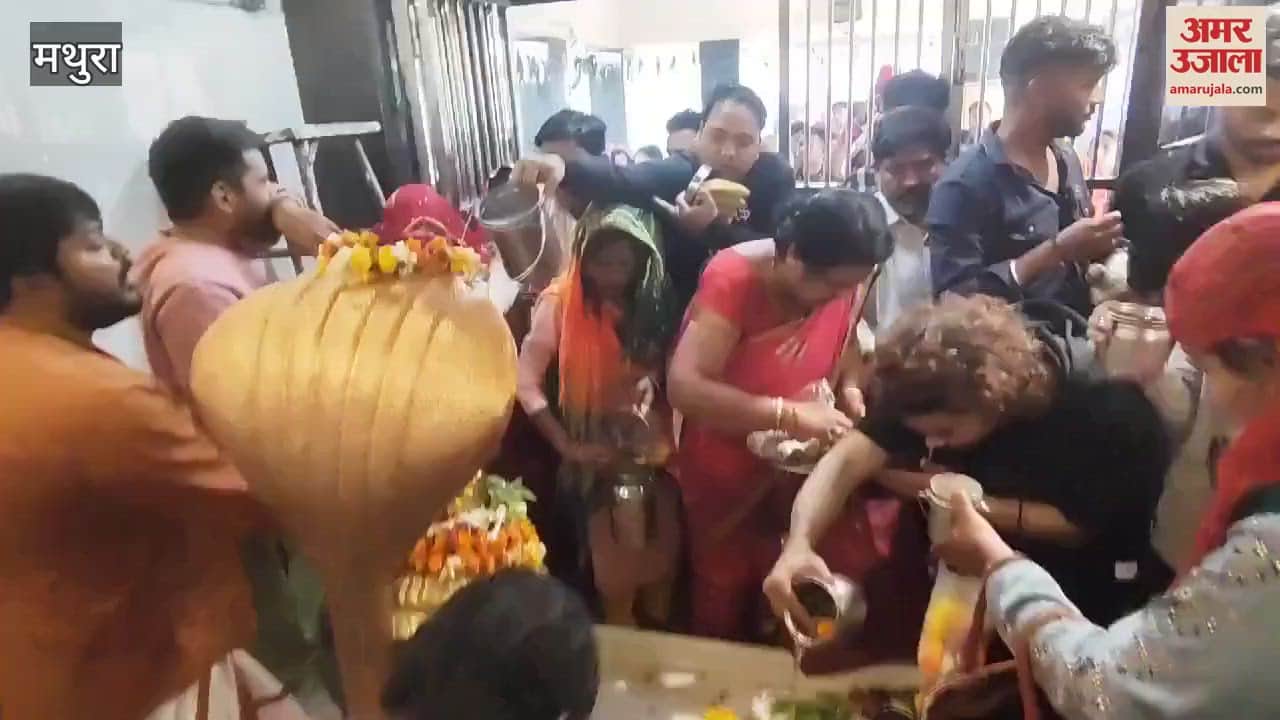 VIDEO : Rangeshwar Mahadev Temple crowd of devotees