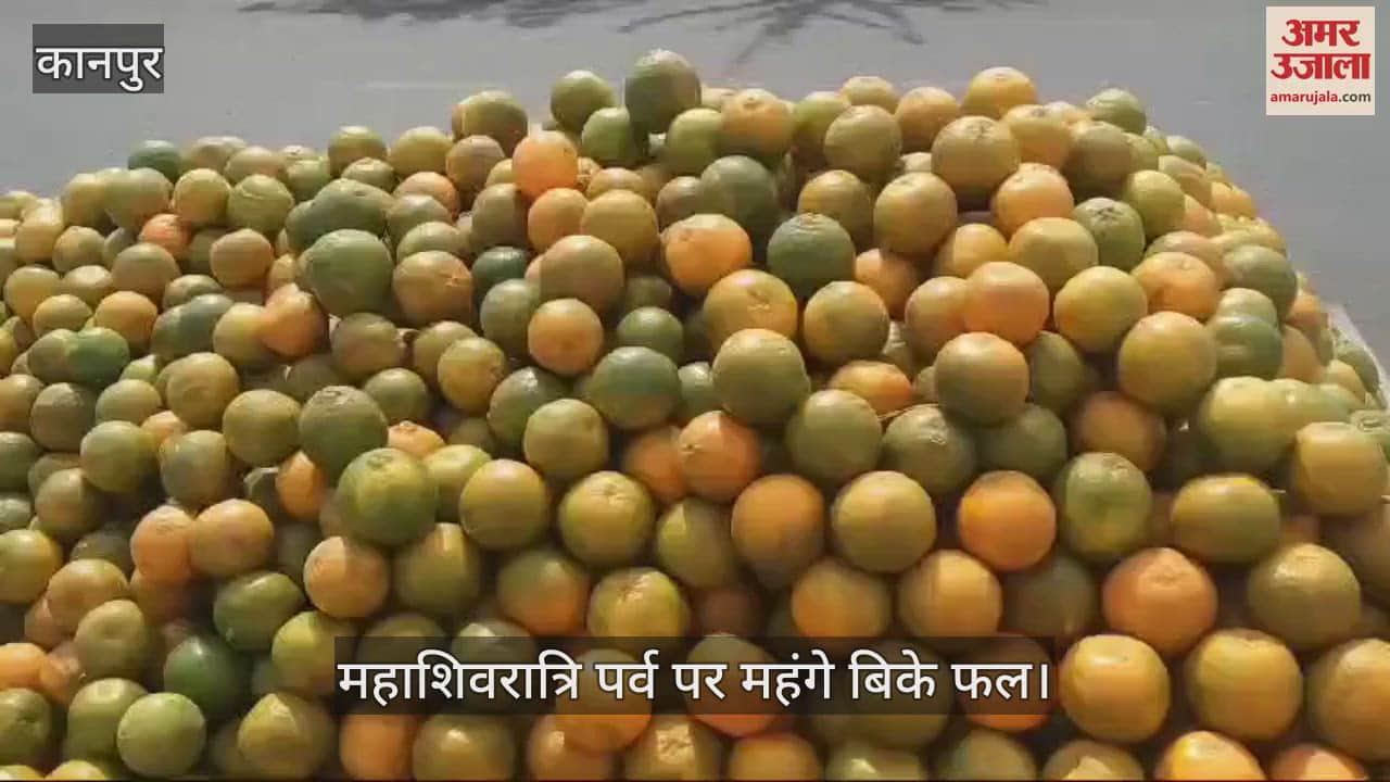 VIDEO : Kanpur…महाशिवरात्रि पर फुटकर कारोबारियों ने बढ़ा दिए फलों के दाम, केले से लेकर अनार तक में दिखी तेजी