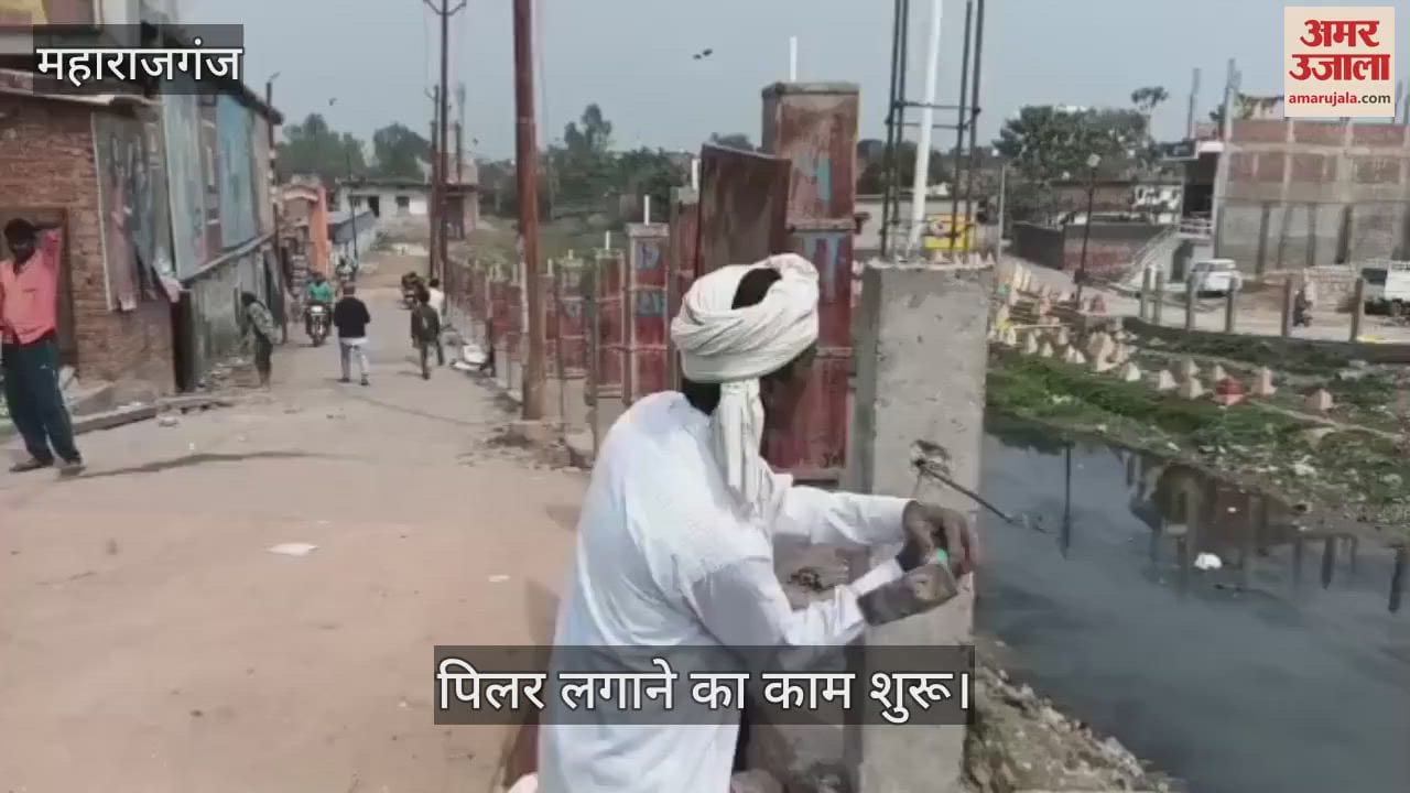 VIDEO : Beautification of Ballia Nala Bridge