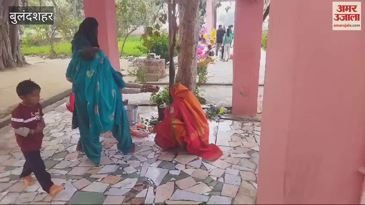 VIDEO : Shiva devotees reached a temple in Bulandshahr