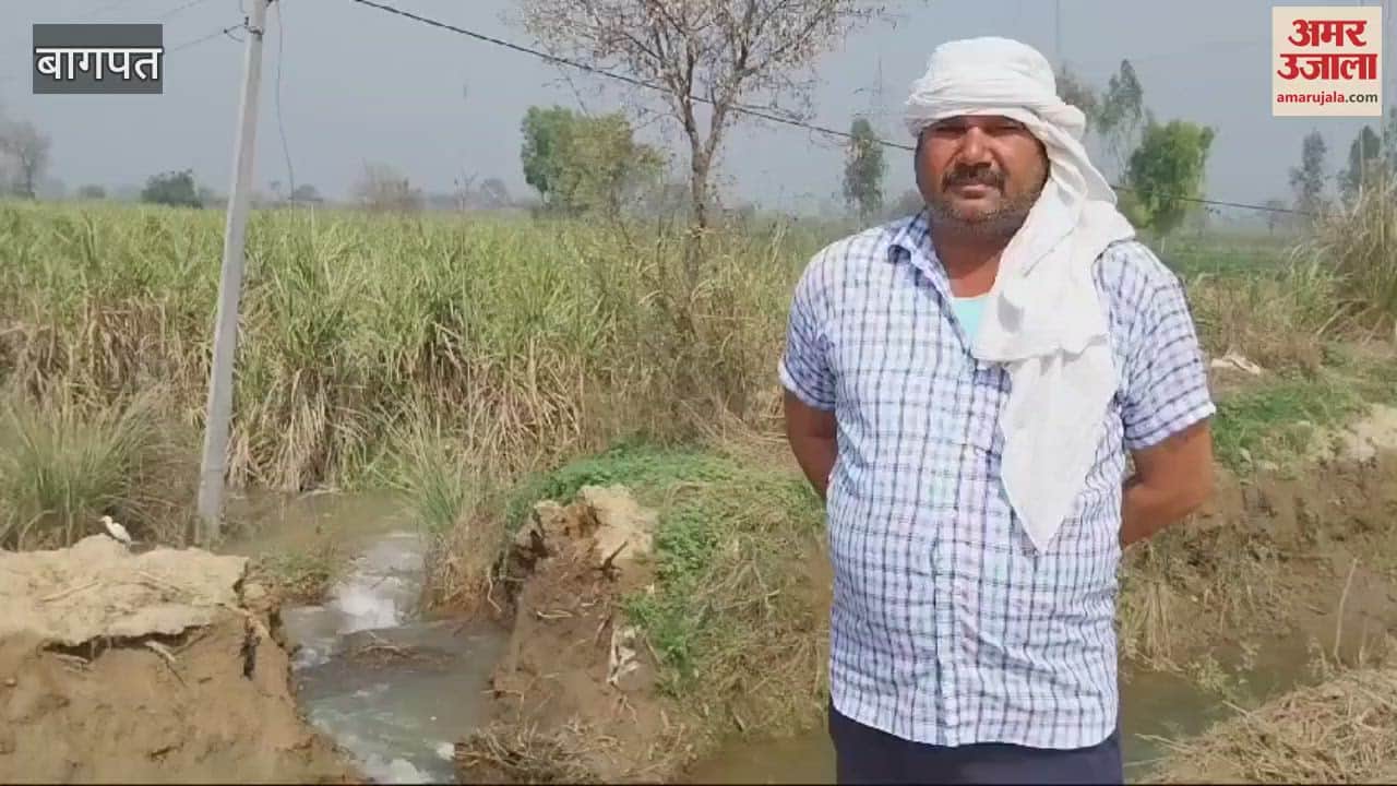 VIDEO : Baghpat: Crops submerged due to breakage of Rajwaha track.
