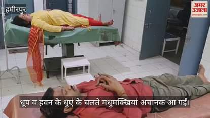 VIDEO : हमीरपुर में श्रद्धालुओं पर मधुमक्खियों ने बोला हमला, दहशत में लोग नहर में कूदे, 13 को पहुंचाया अस्पताल