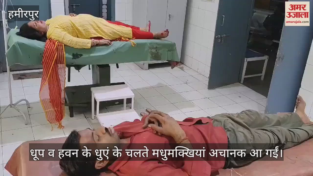VIDEO : हमीरपुर में श्रद्धालुओं पर मधुमक्खियों ने बोला हमला, दहशत में लोग नहर में कूदे, 13 को पहुंचाया अस्पताल