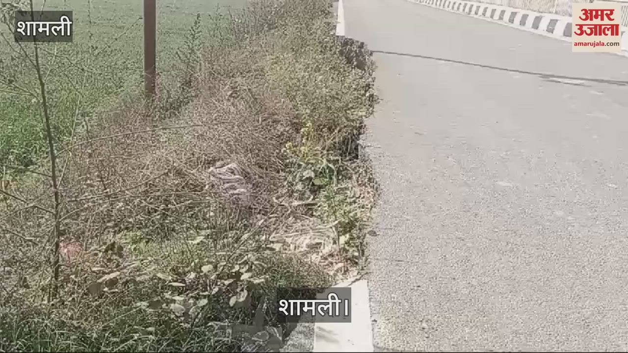 VIDEO : In Shamli, the road started crumbling just after one and a half years of its construction, erosion started, danger of accidents