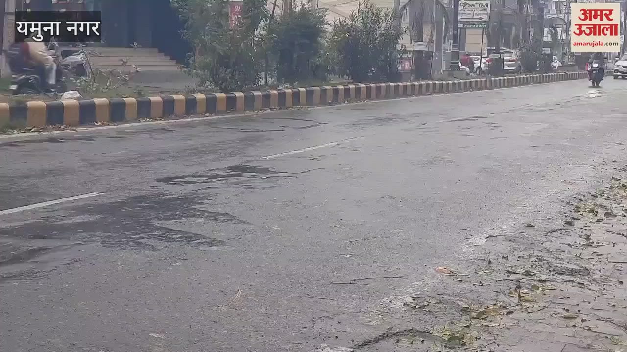 VIDEO : Drizzle in Yamunanagar since morning, temperature dropped, beneficial for wheat crop