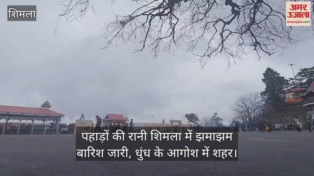 VIDEO : Heavy rain continues in Shimla, the queen of mountains, city in the grip of fog