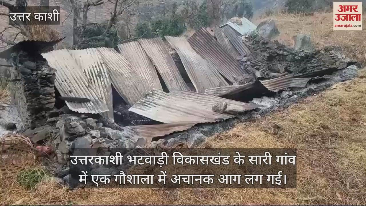 VIDEO : fire broke out in a cowshed in Uttarkashi Sari village cattle died after being burnt alive