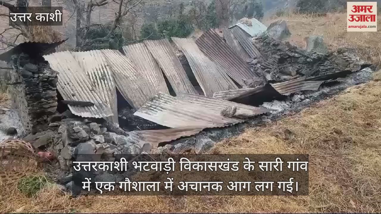 VIDEO : fire broke out in a cowshed in Uttarkashi Sari village cattle died after being burnt alive