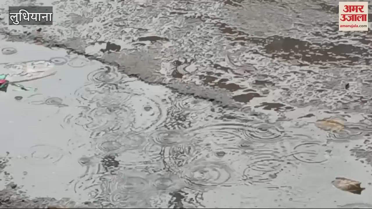 VIDEO : drizzling in Ludhiana