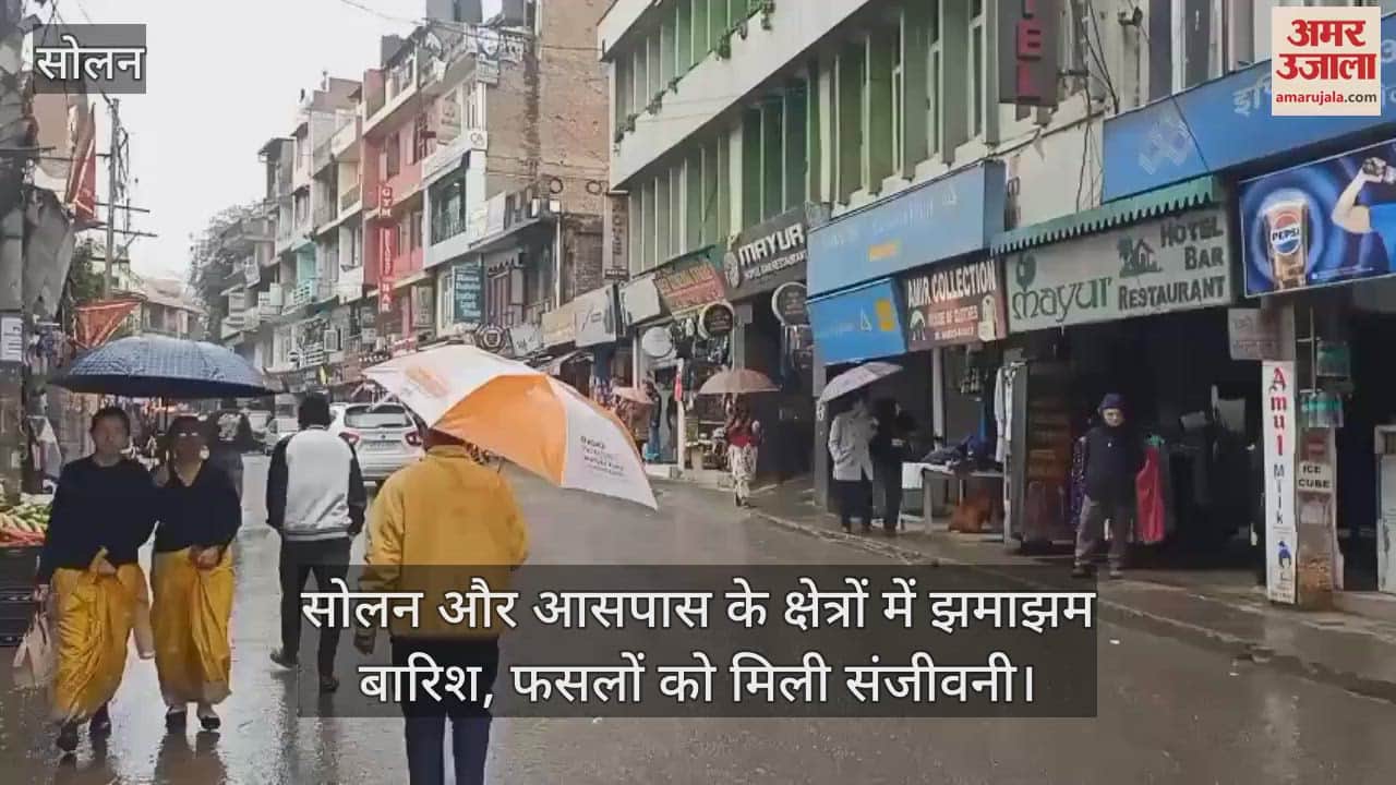 VIDEO : Heavy rain in Solan and surrounding areas, crops got a new lease of life