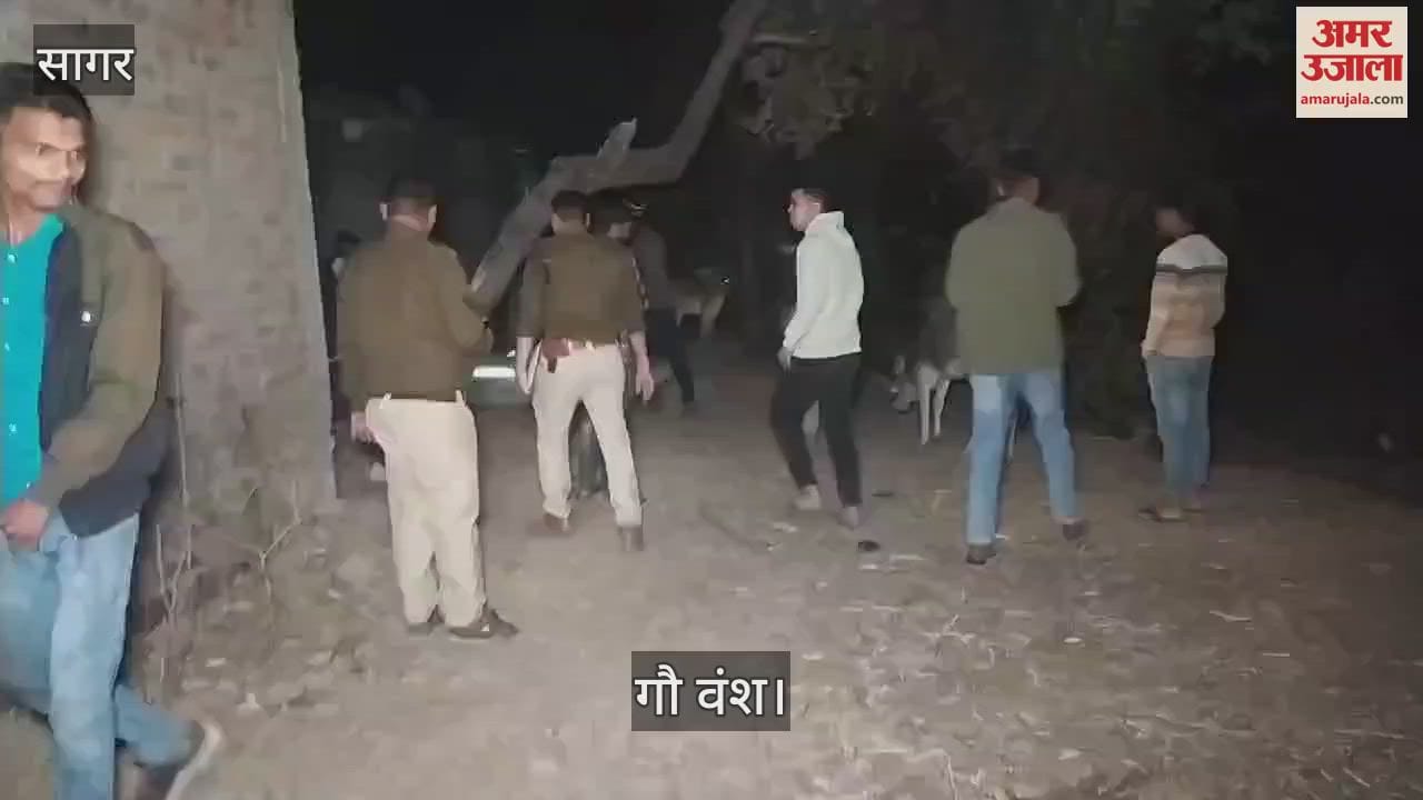 Sagar News: Villagers foil attempt of cow smuggling in Sagar district, two arrested