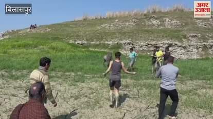 VIDEO : Youth rescued a Nilgai trapped in a swamp in Bilaspur