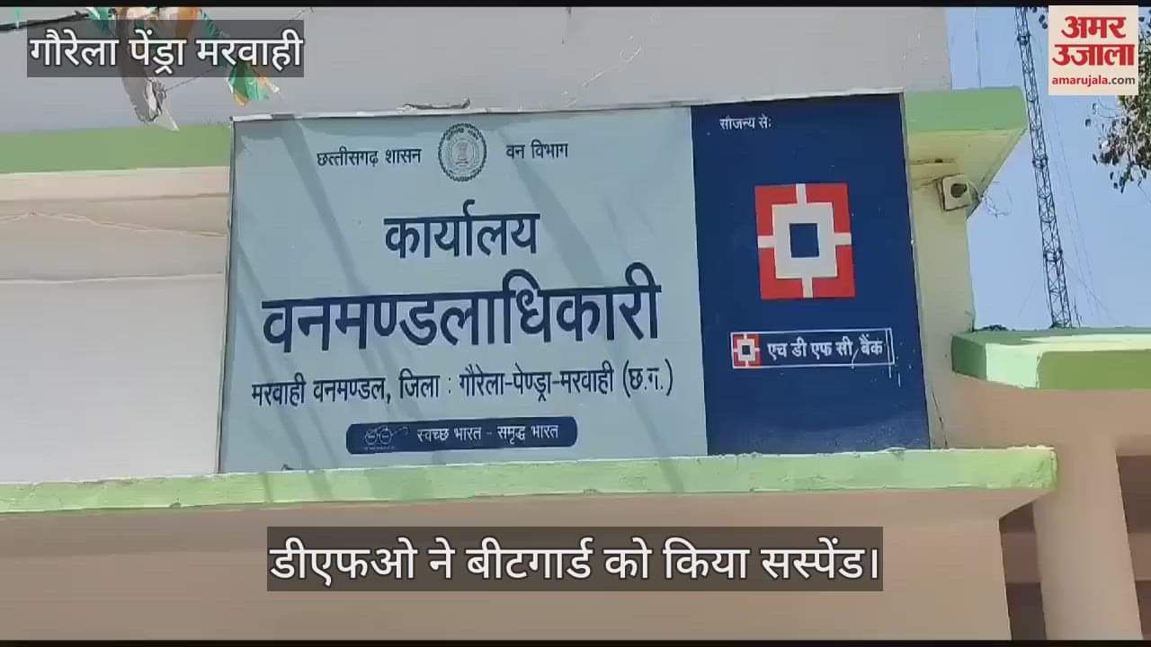 VIDEO : DFO suspended beatguard in case of finding the carcass of bear in Gaurela Pendra Marwahi