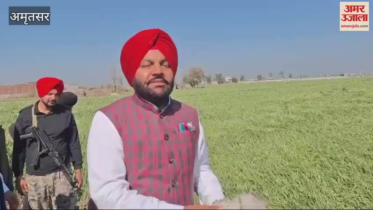 VIDEO : ओलावृष्टि से खराब हुई फसल की जानकारी लेने खेतों में पहुंचे सांसद गुरजीत औजला