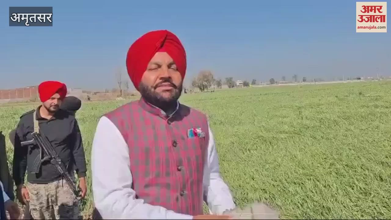 VIDEO : ओलावृष्टि से खराब हुई फसल की जानकारी लेने खेतों में पहुंचे सांसद गुरजीत औजला