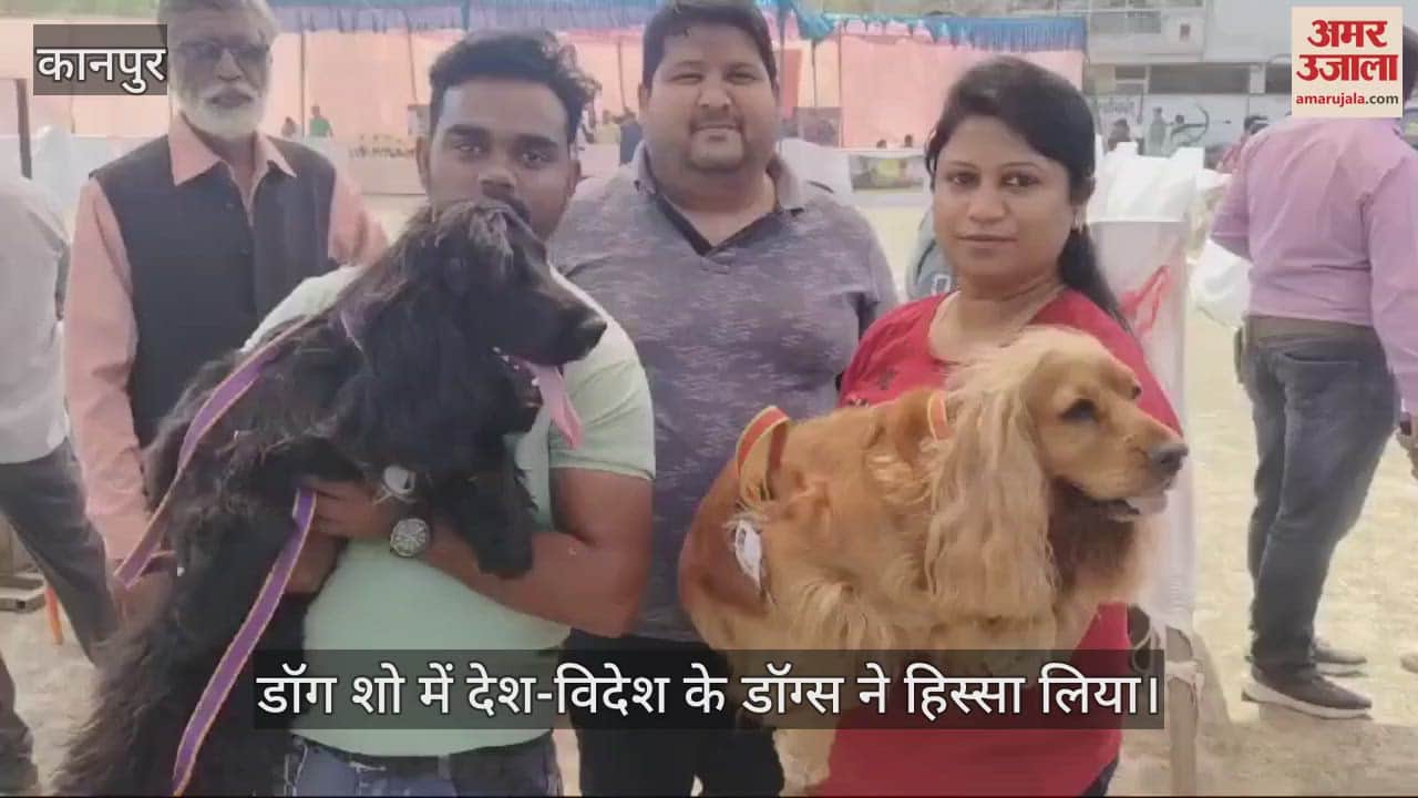 VIDEO : Kanpur…कैनल वेलफेयर एसोसिएशन की ओर से डॉग शो का आयोजन