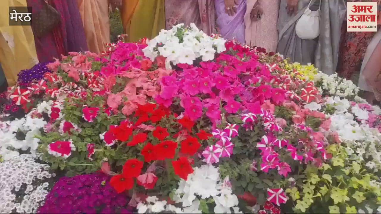 VIDEO : Flower show organized in Meerut