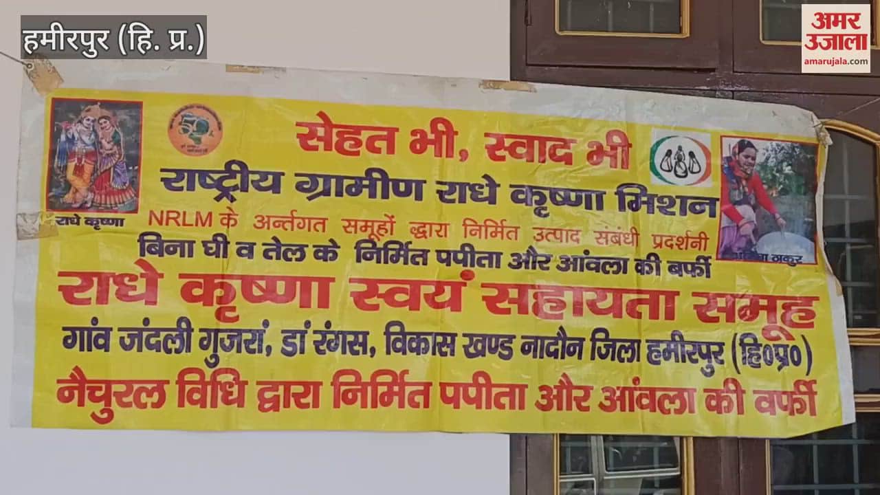 VIDEO : Papaya and gooseberry barfi made by Anita of Jandali Gujran, a small village in Hamirpur has created a distinct identity