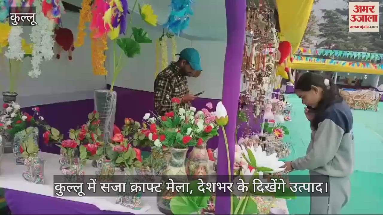 VIDEO : Craft fair organized in Kullu, products from all over the country will be seen