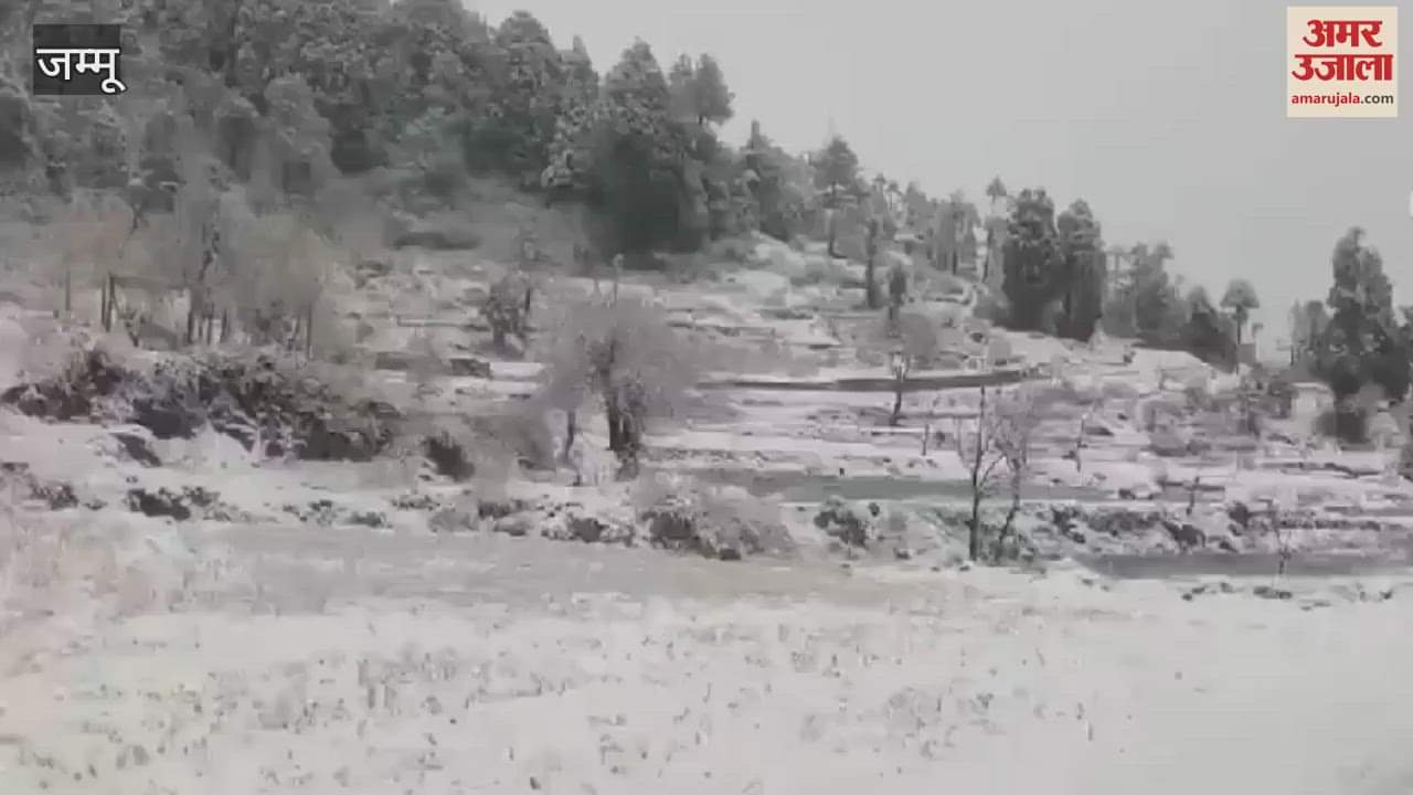 VIDEO : Snowfall in Patnitop and Nathatop, beautiful valleys wrapped in white sheets
