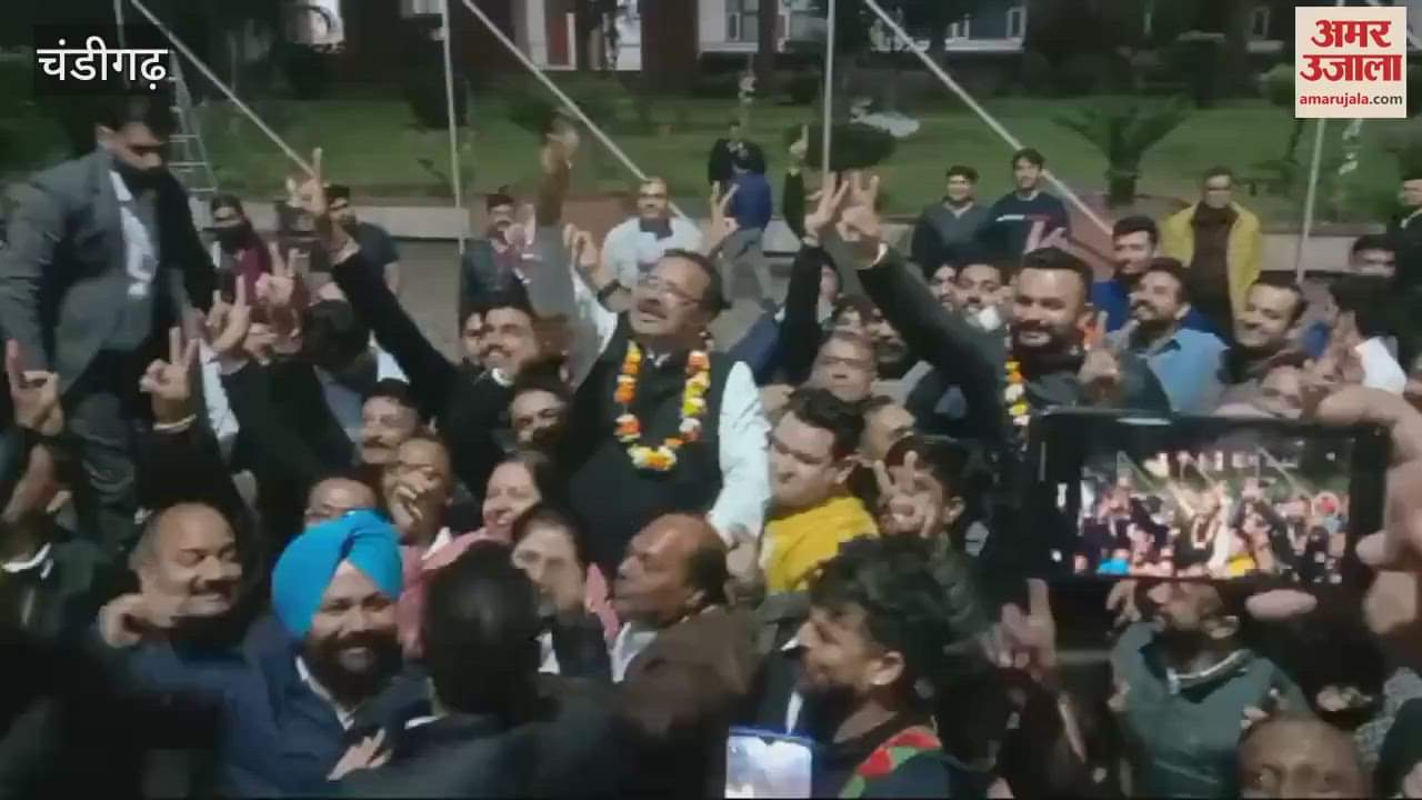 VIDEO : Chandigarh Bar Association Elections, Ashok Chauhan Becomes President