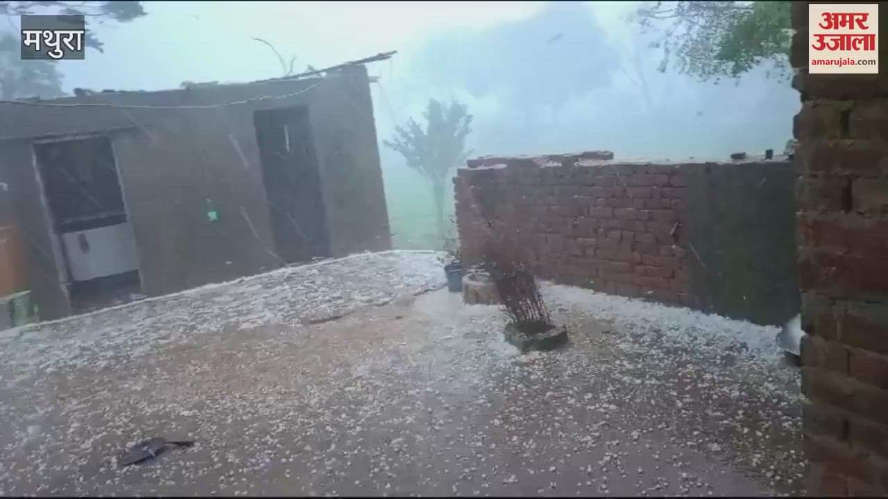 VIDEO : Storm, water and hailstorm in Mathura, ripe crops ruined