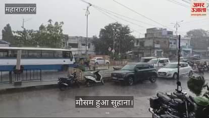 VIDEO : Weather became pleasant due to light rain