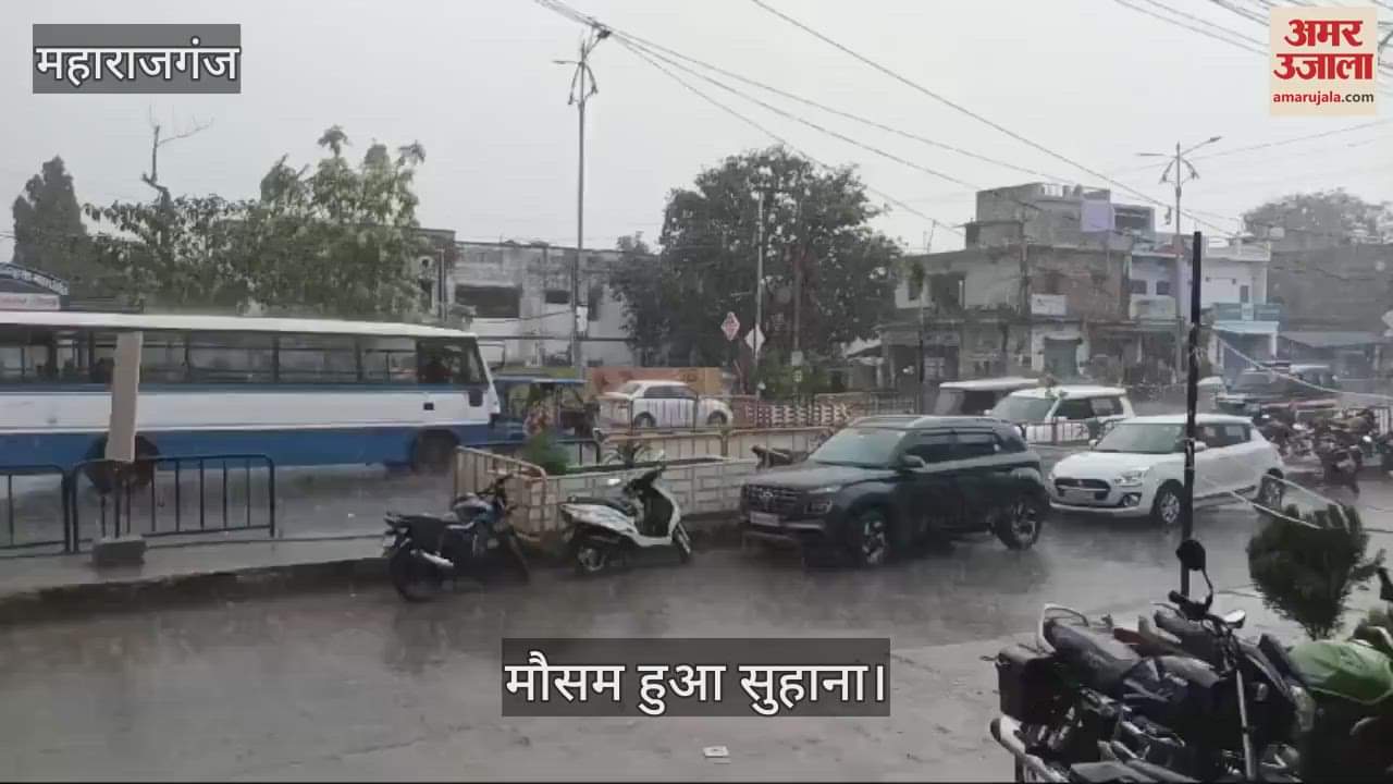 VIDEO : Weather became pleasant due to light rain