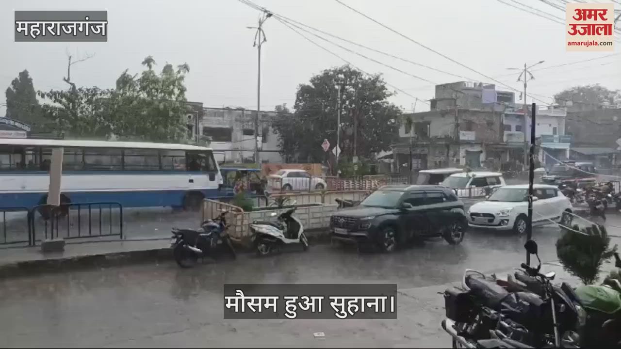 VIDEO : Weather became pleasant due to light rain