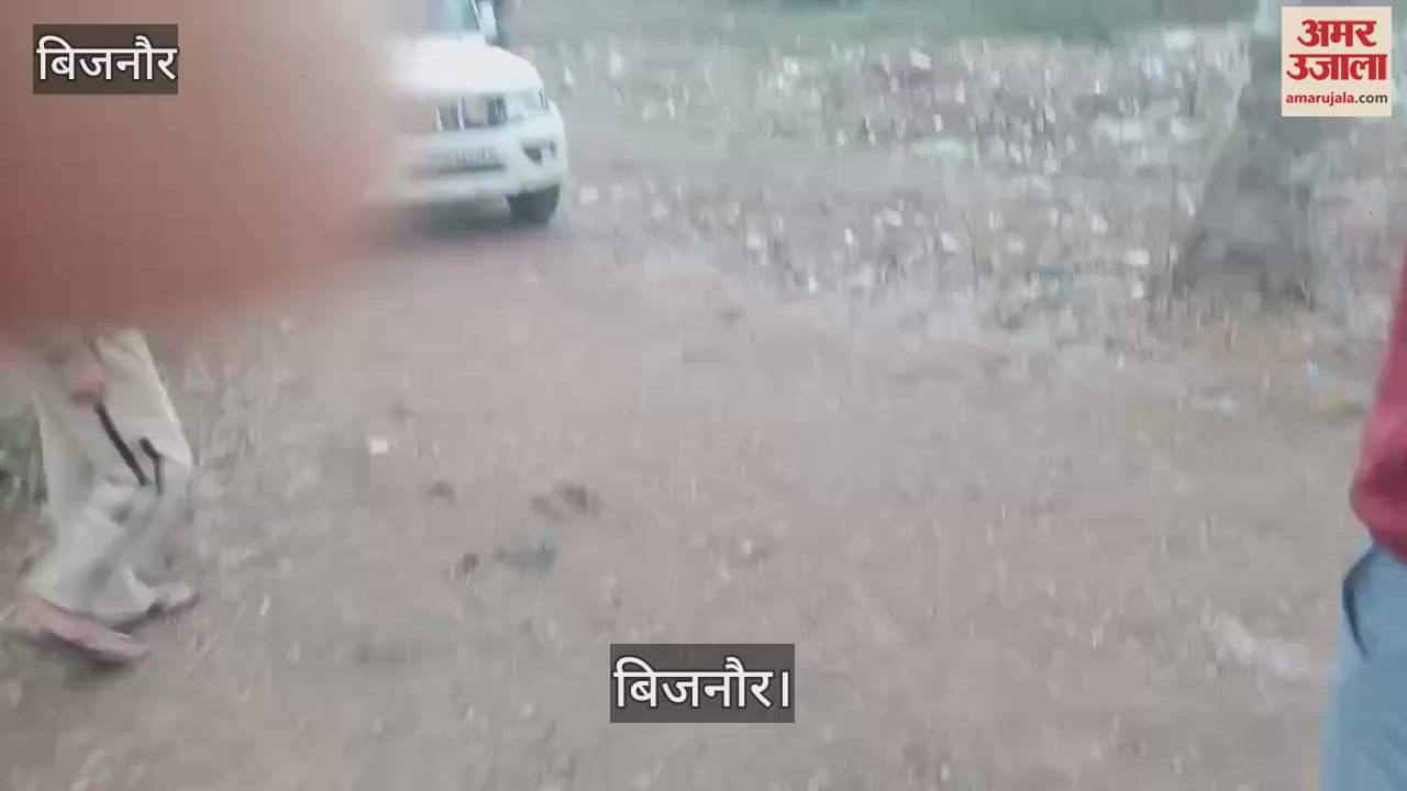 VIDEO : In Bijnor, a grandmother who had come to attend her son's birthday party died after falling into a drain