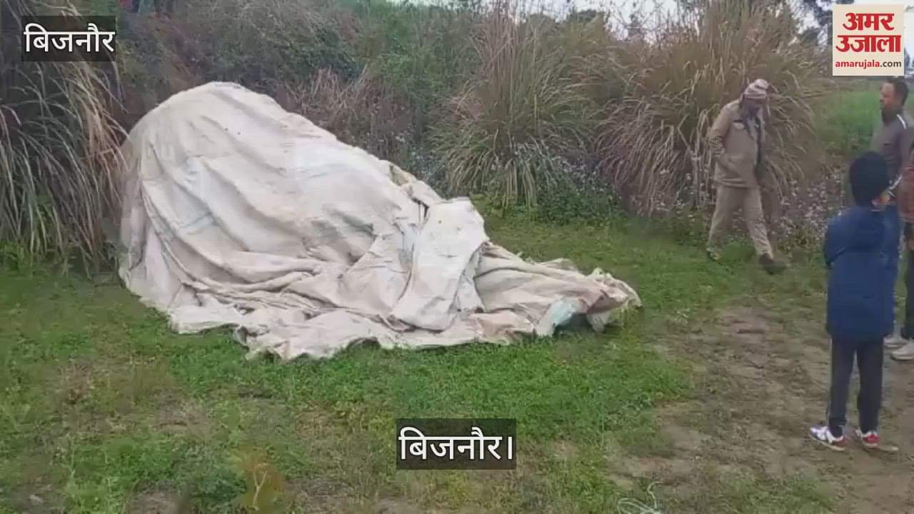 VIDEO : Elephant's body found in Bijnor Rehad, died due to electric shock