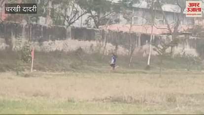 VIDEO : Tannu's team became the winner in the relay race in Dadri