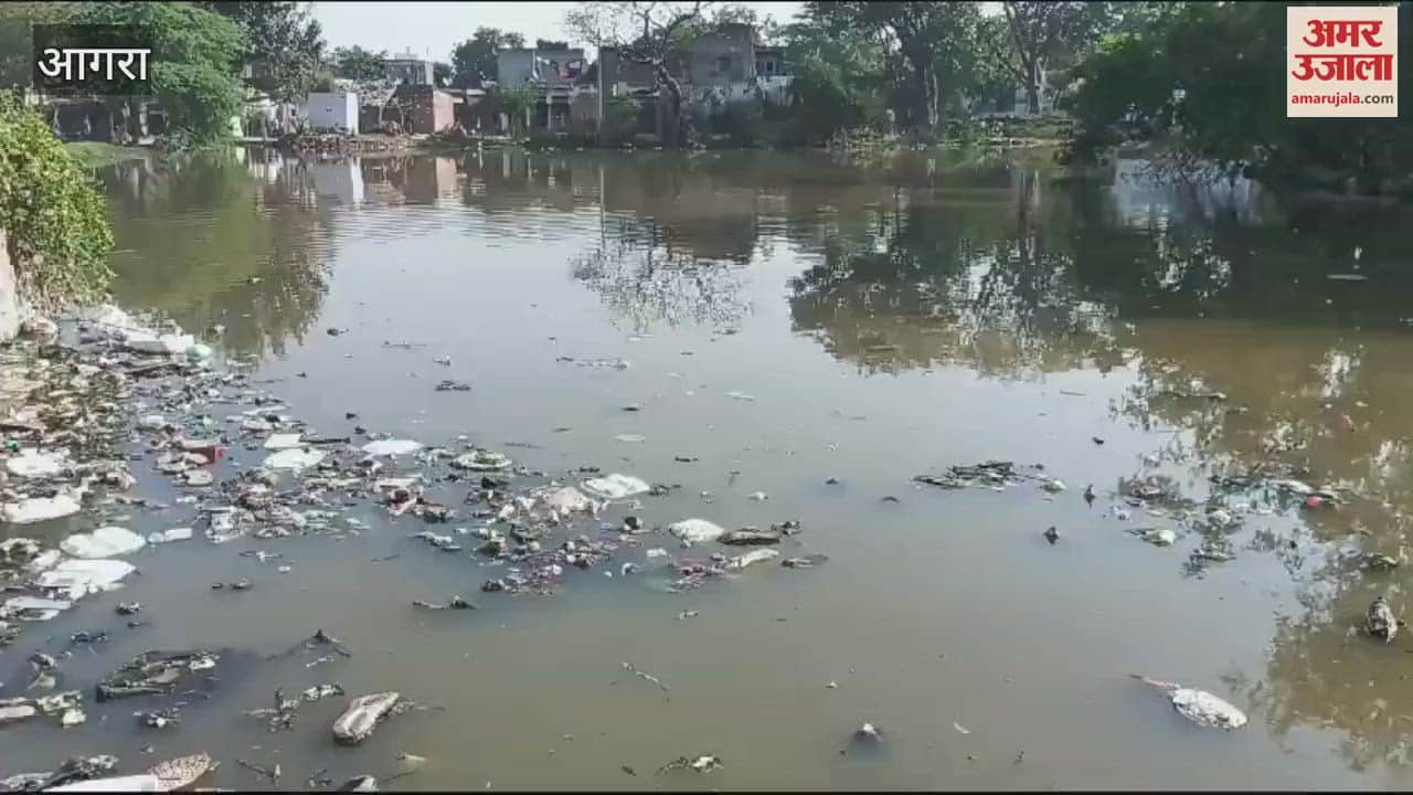 VIDEO : Innocent child fell into the pond, mother jumped in to save him