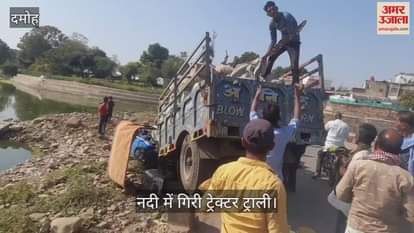 A tractor trolley loaded with peanuts fell into the river while trying to save a cow