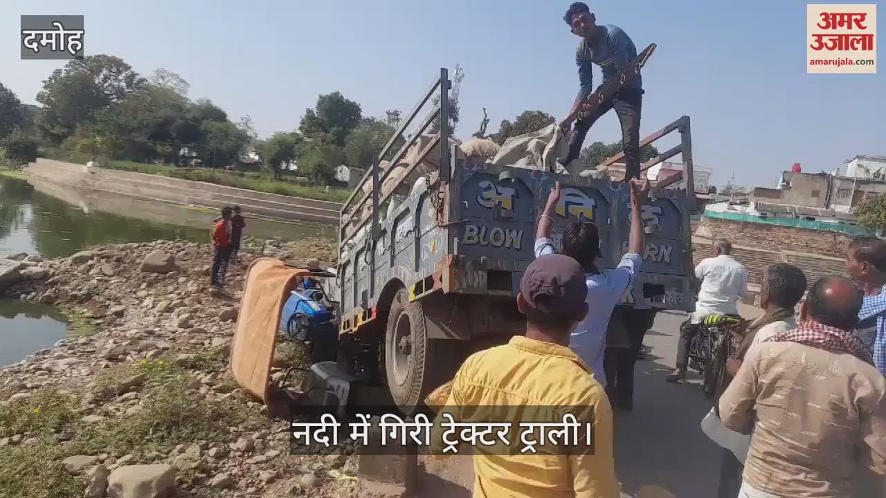 A tractor trolley loaded with peanuts fell into the river while trying to save a cow