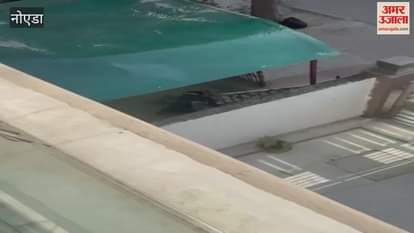 VIDEO : Shelter home employee injured in a pitbull attack in Noida