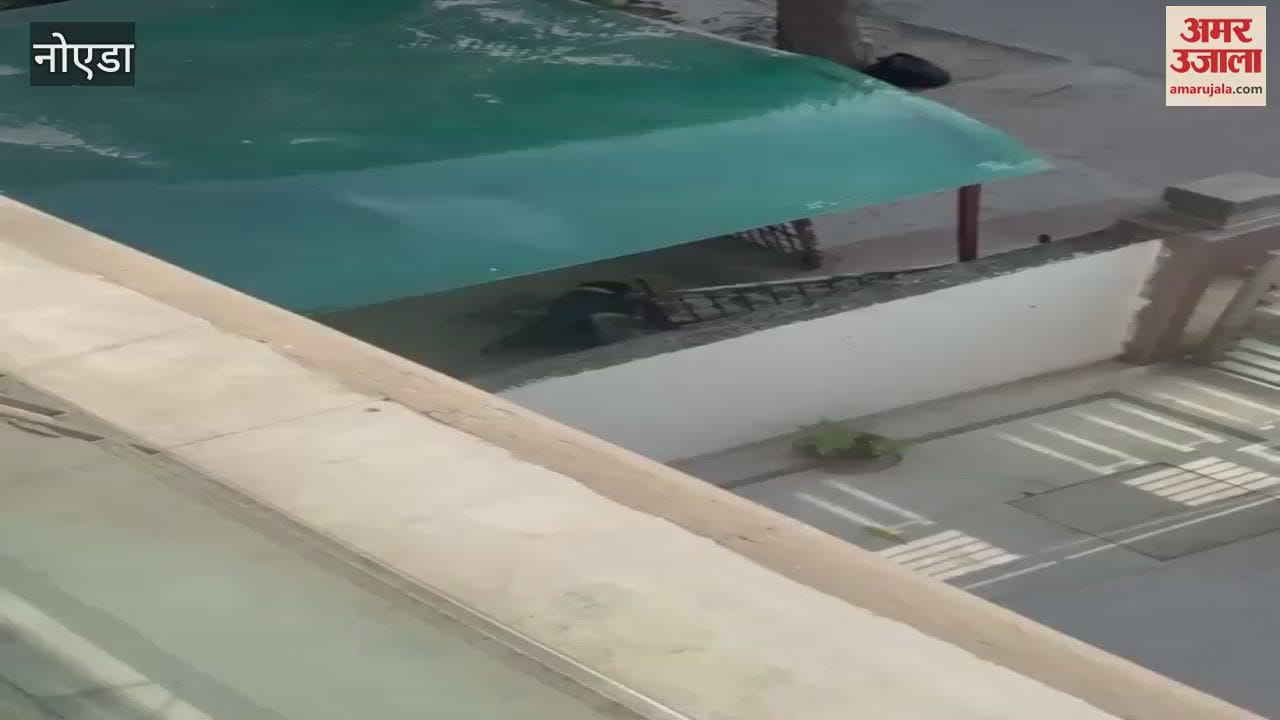 VIDEO : Shelter home employee injured in a pitbull attack in Noida
