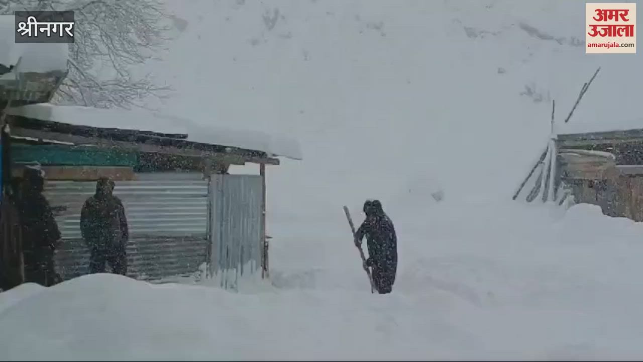 VIDEO : Snowfall wreaks havoc in Gurez valley, 85 km long road closed, exam postponed