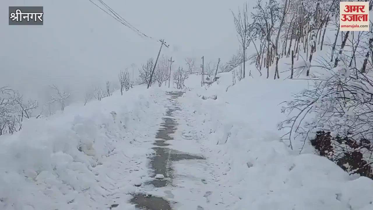 VIDEO : Snowfall in Baramulla covers the area with a blanket of snow, effect of cold in Kashmir