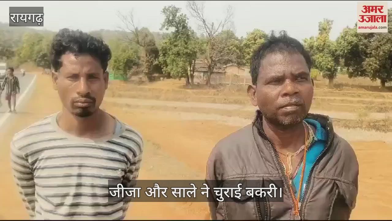 VIDEO : brother in law and brother in law together stole a goat and sold it for seven thousand rupees in Raigarh
